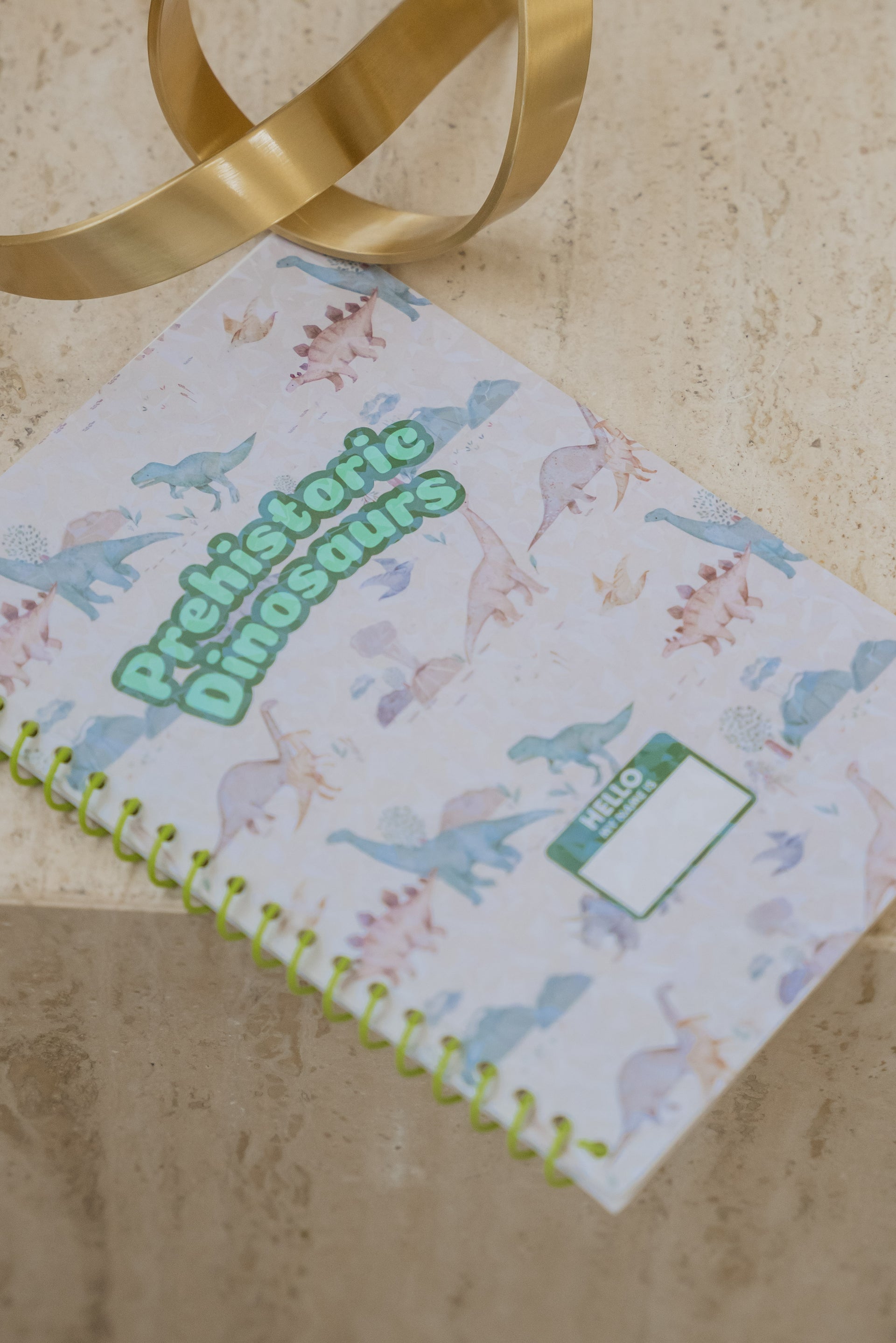 Prehistoric Dinosaurs Sticker Book