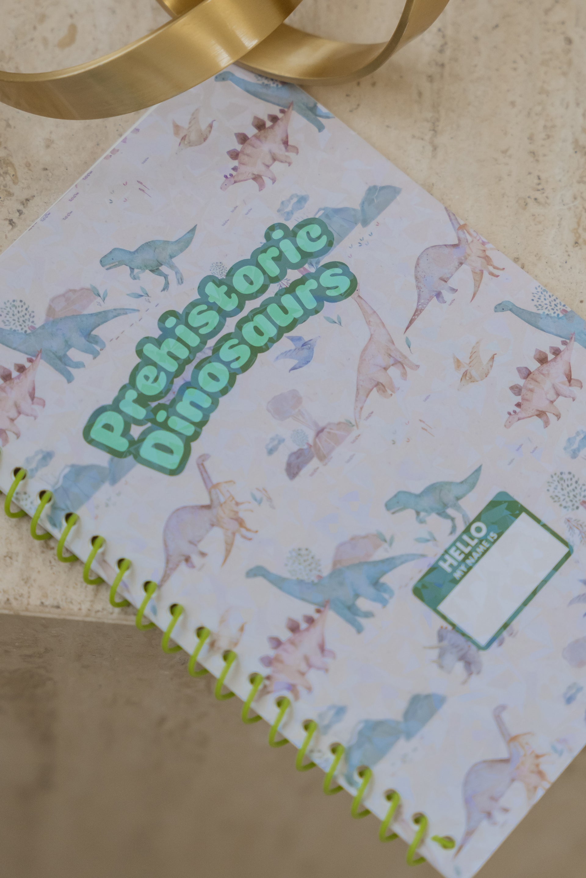 Prehistoric Dinosaurs Sticker Book