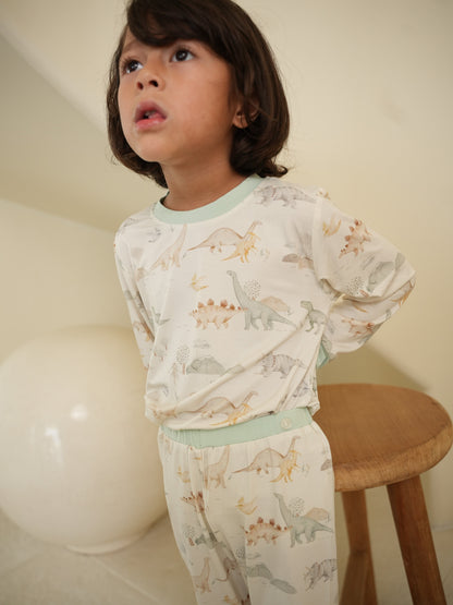 Little Dino World 2pcs Pyjamas