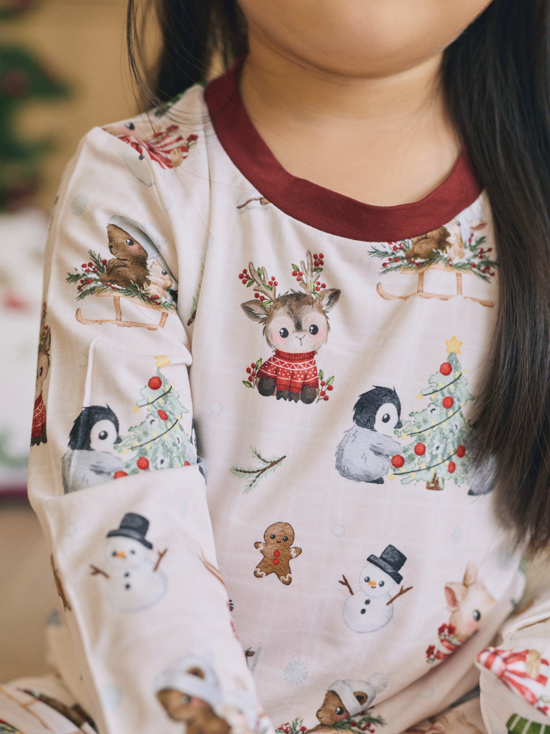 Jolly Christmas Tales 2pcs Pyjamas