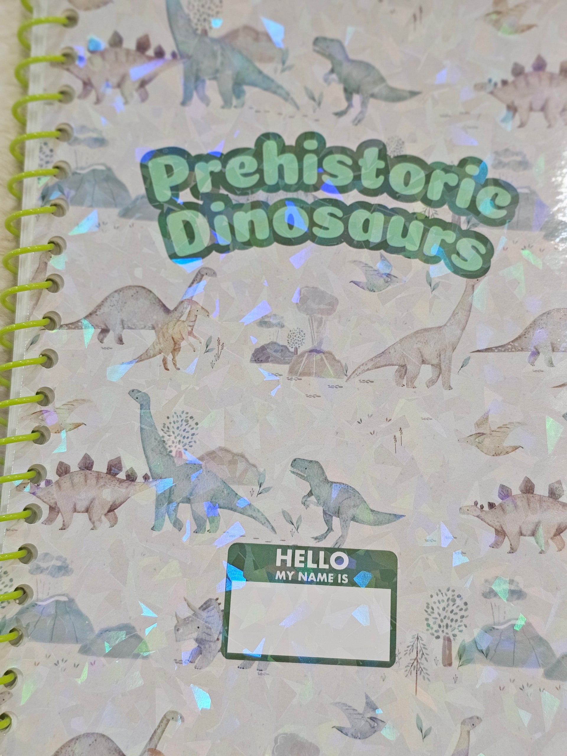 Prehistoric Dinosaurs Sticker Book